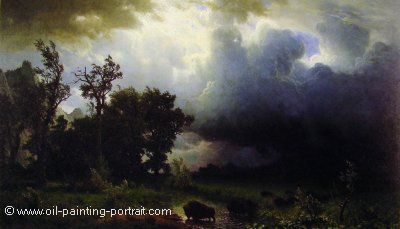 Buffalo Trail