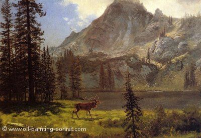 Call of the Wild