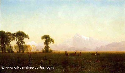 Deer Grazing Grand Tetons (Wyoming)