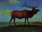 Albert Bierstadt  - paintings - Elk
