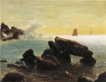 Albert Bierstadt  - Peintures - Île de Farralon, Californie