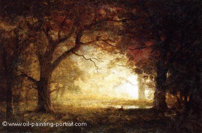 Forest Sunrise