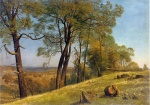 Albert Bierstadt  - Peintures - Paysage du comté de Rockland en Californie