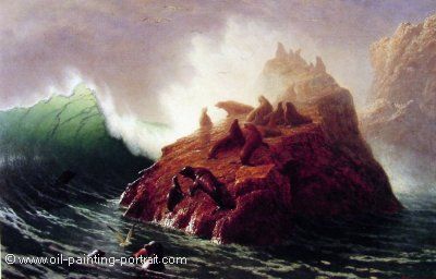 Seal Rock