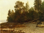 Albert Bierstadt  - paintings - The Fallen Tree