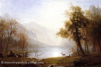 Valley in Kings Canyon