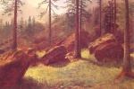 Albert Bierstadt  - Peintures - Paysage boisé