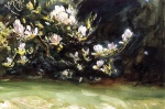 John Singer Sargent  - paintings - Magnolias