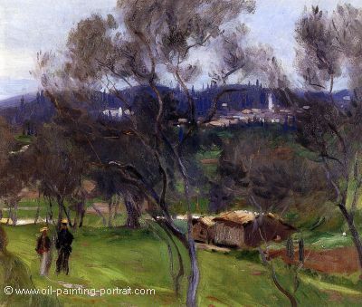 Olive Trees at Corfu