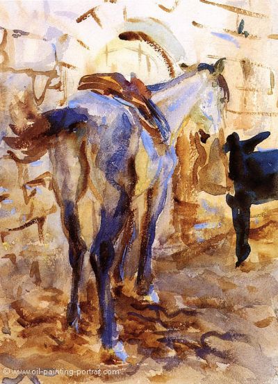 Saddle Horse Palestine