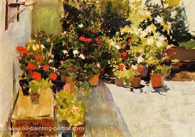 A Rooftop with Flowers