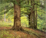 Theodore Clement Steele - Bilder Gemälde - Beech Trees