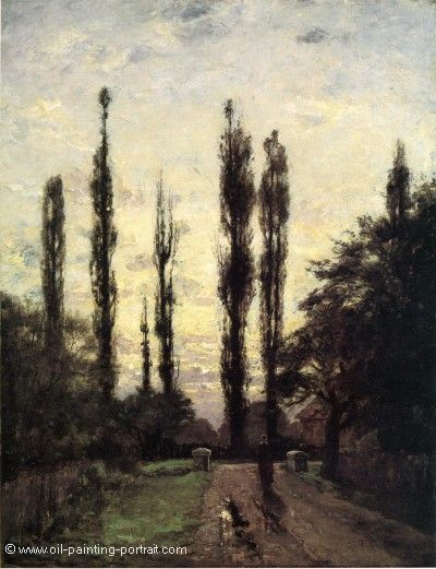Evening Poplars