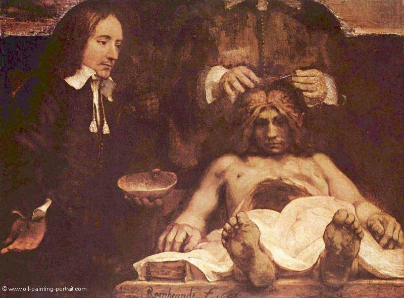 Anatomische Vorlesung des Dr. Daymen (Fragment)