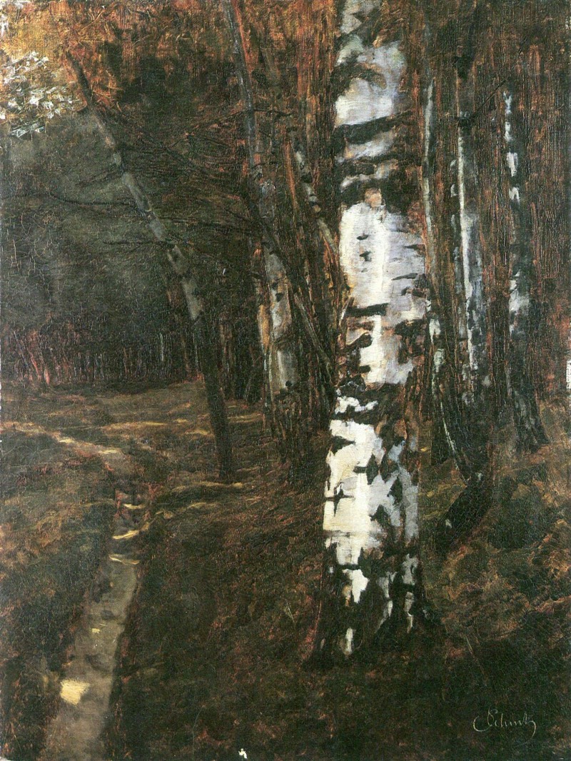 Birkenwald bei Ferch