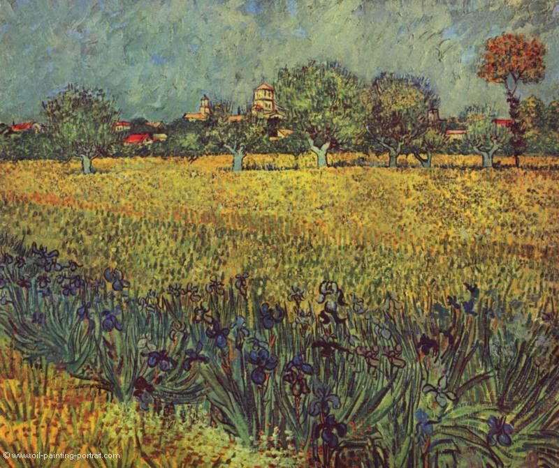 Blick auf Arles mit Schwertlilien