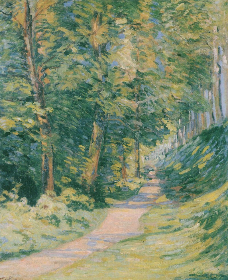 Epinay sur Orge, Weg im Unterholz
