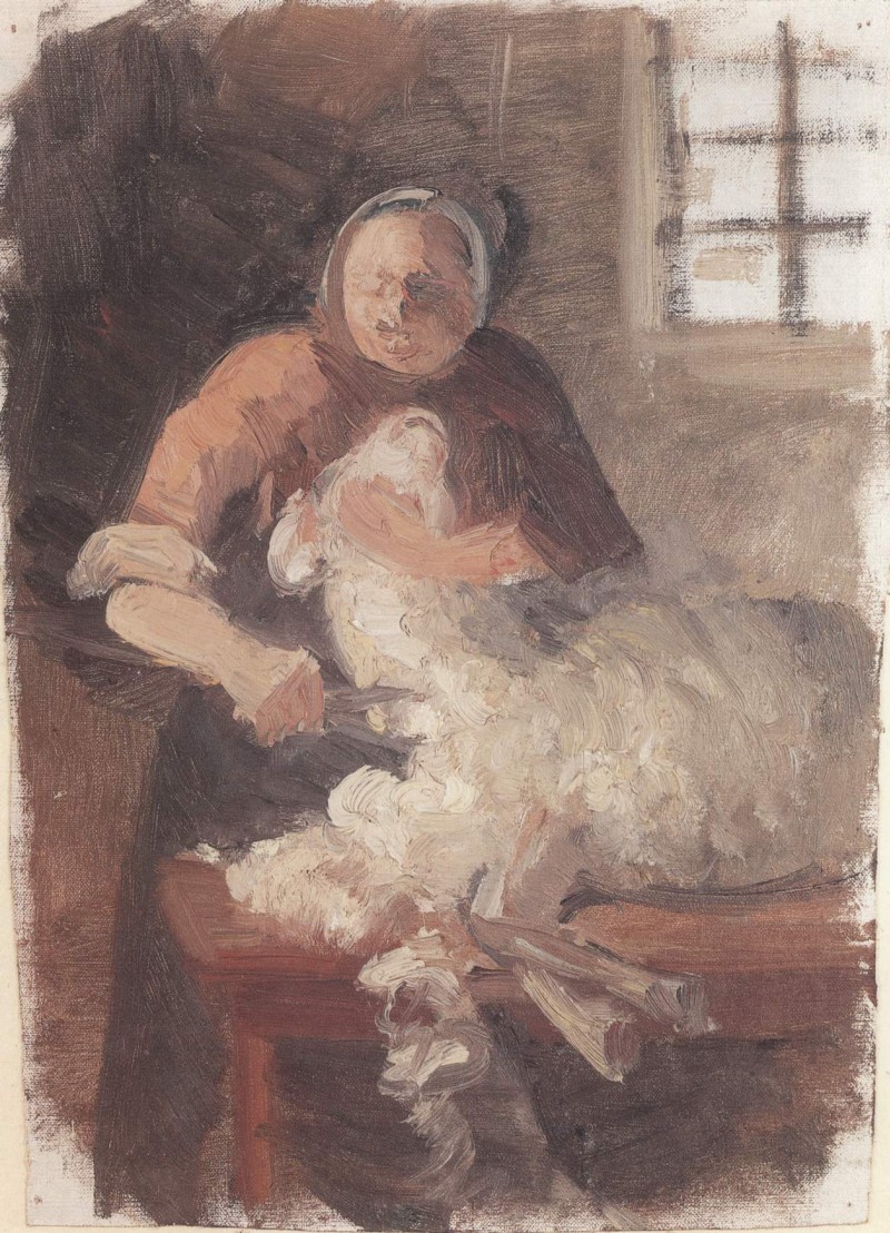 Frau bei der Schafschur