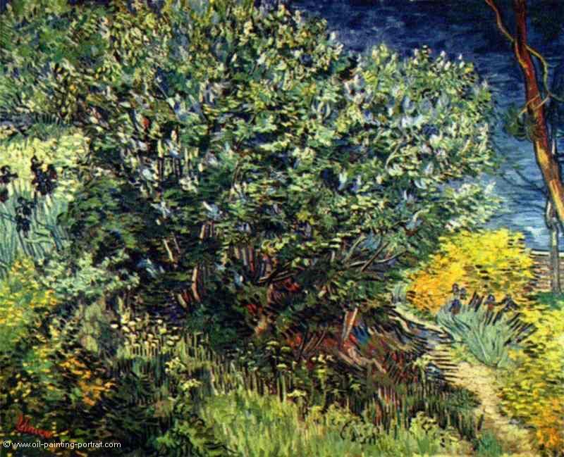 Gebuesche bei Arles