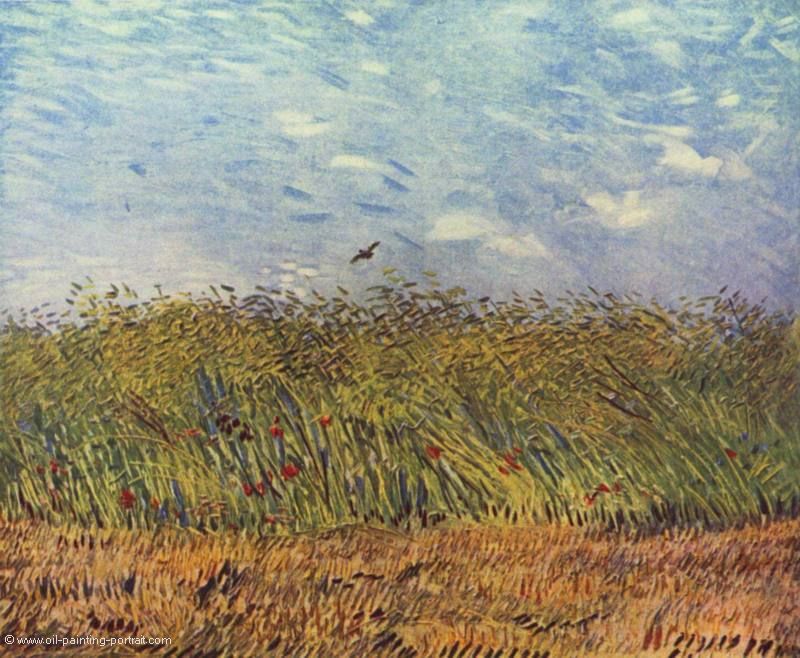 Getreidefeld mit Mohnblumen und Lerche