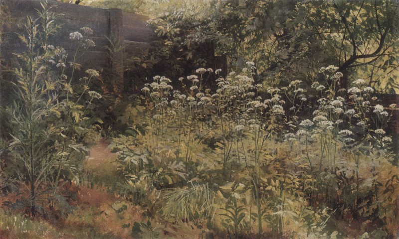 Giersch (Pargolowo)