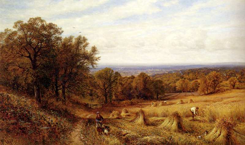 Harvest Time