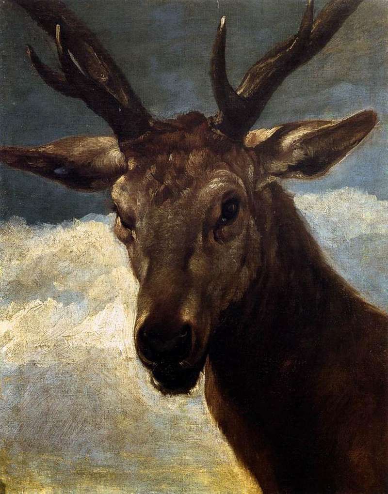Head of a Stag