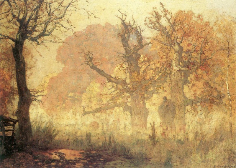 Herbstmorgen im Kranichsteiner Park