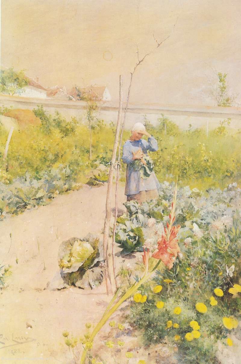 Im Kuechengarten