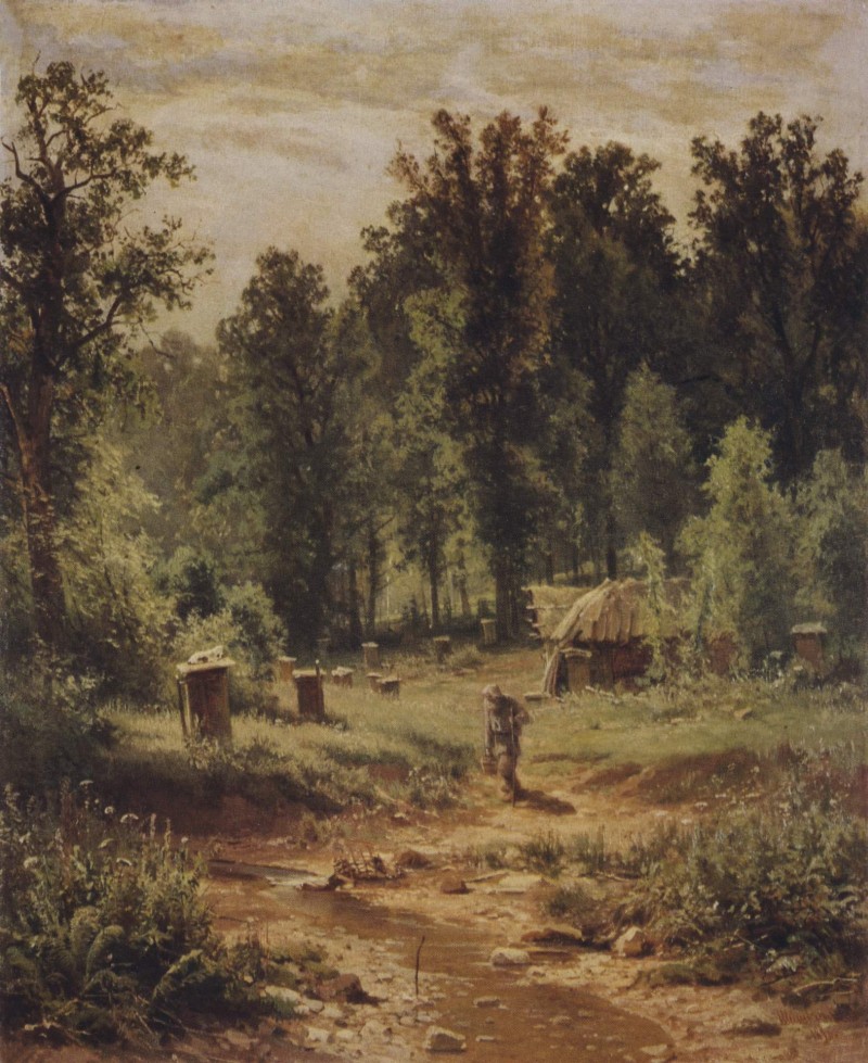Imkerei im Wald