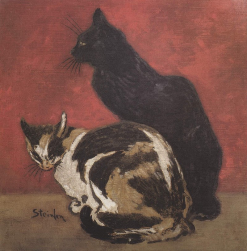 Katzen