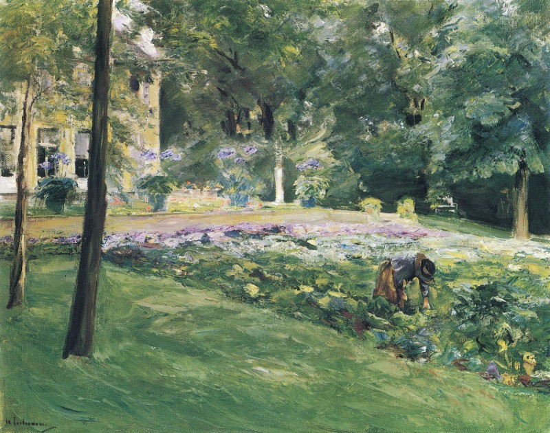 Kohlfeld in Wannsee