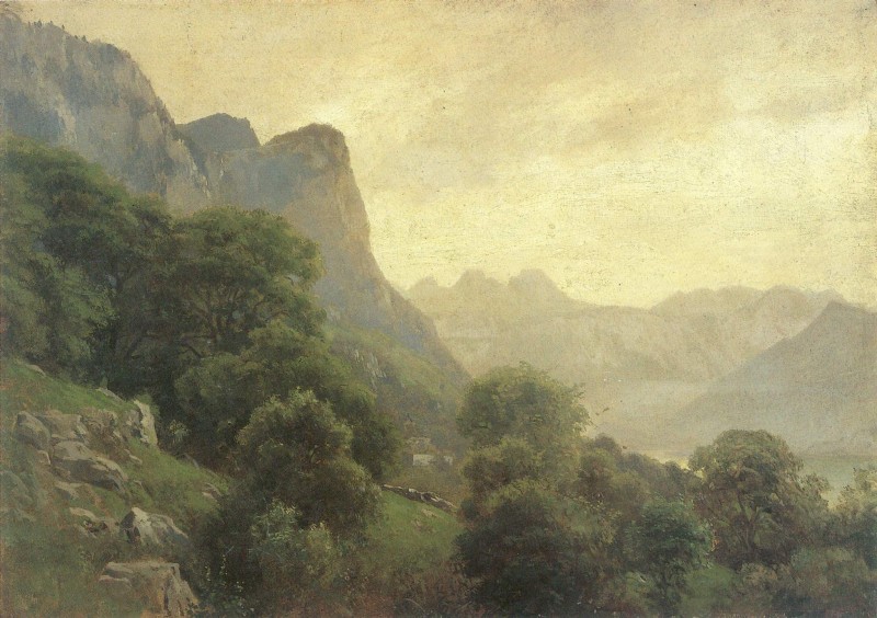 Landschaft am Wallensee