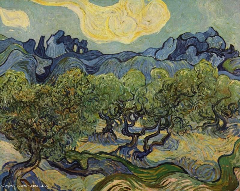 Landschaft mit Olivenbaeumen