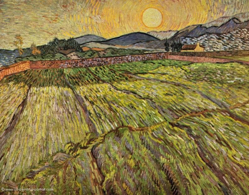 Landschaft mit gepfluegten Feldern