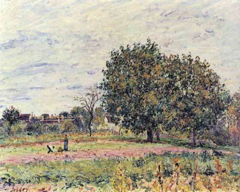Nussbaeume bei untergehender Sonne, Anfang Oktober