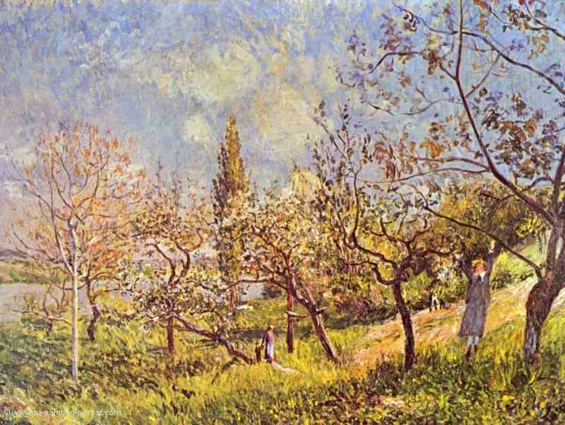 Obstgarten im Fruehling
