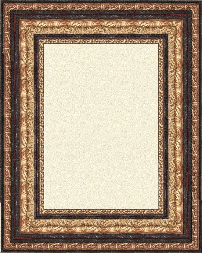 Polo braun gold 11.2 cm