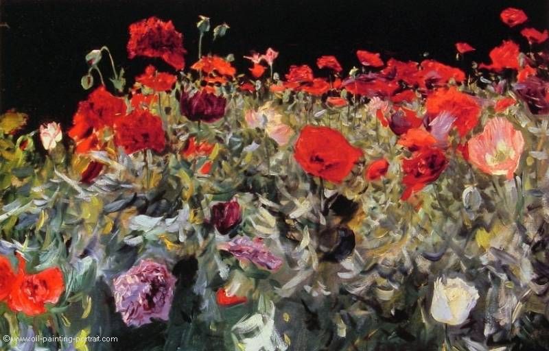 Poppies