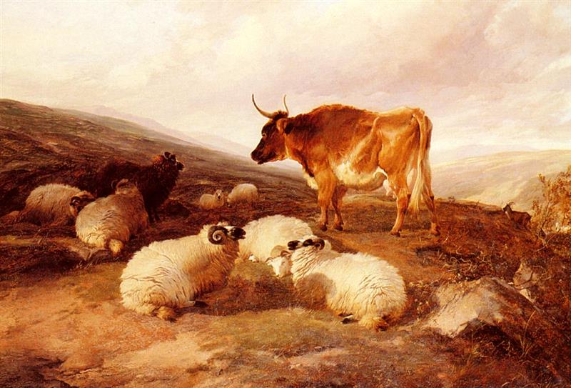 Rams And a Bull in a Highland Landscape