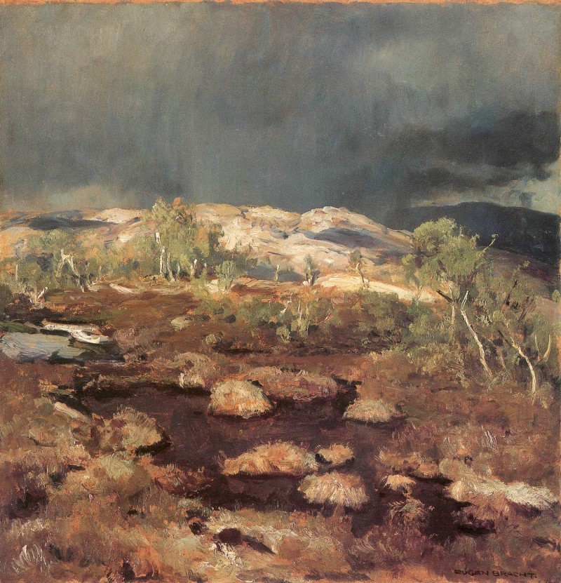 Regenschauer im norwegischen Hochmoor