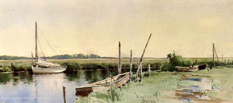 Sailboats in an Inlet