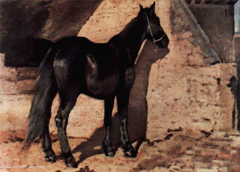 Schwarzes Pferd in der Sonne