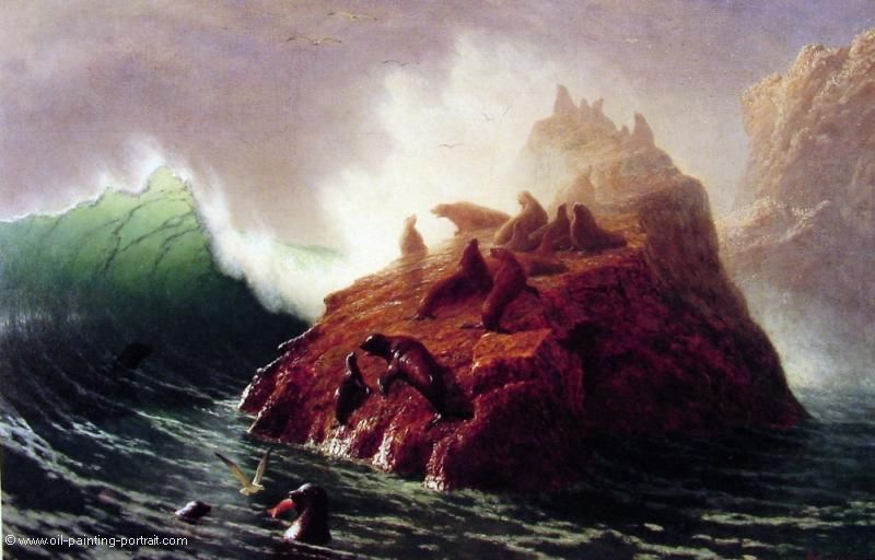 Seal Rock