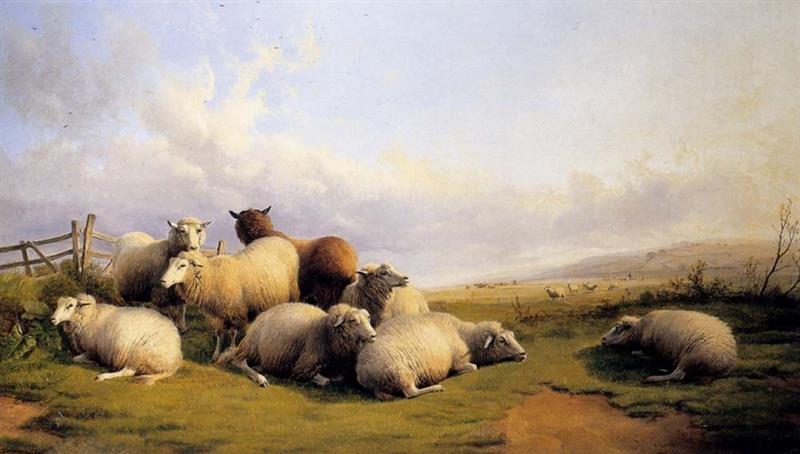 Sheep in an Extensive Landscape