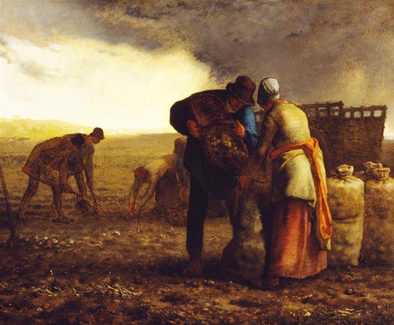 The Potato Harvest