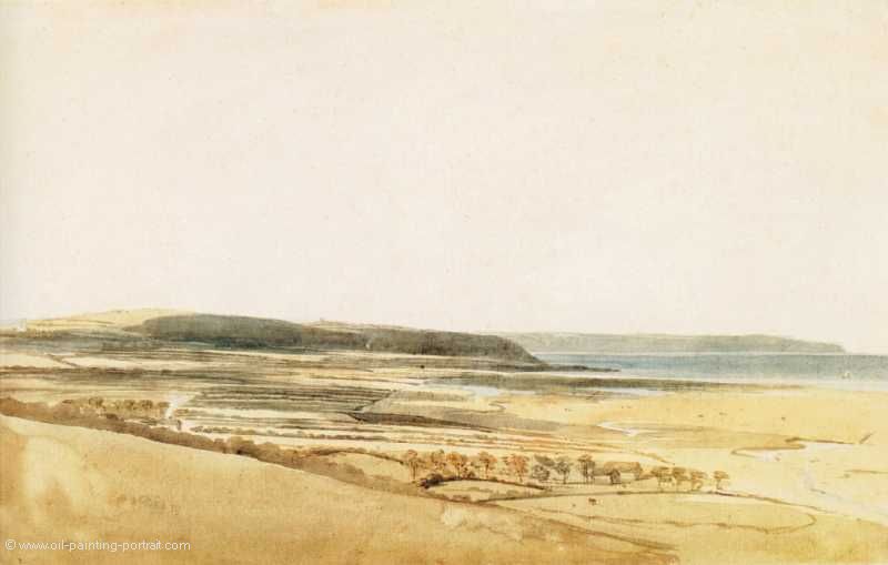 The Taw Estuary (Devon)