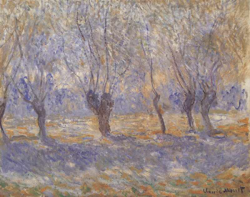 Trauerweiden in Giverny