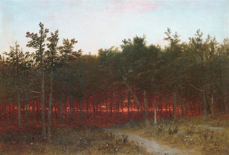 Twilight in the Cedars at Darien   Connecticut