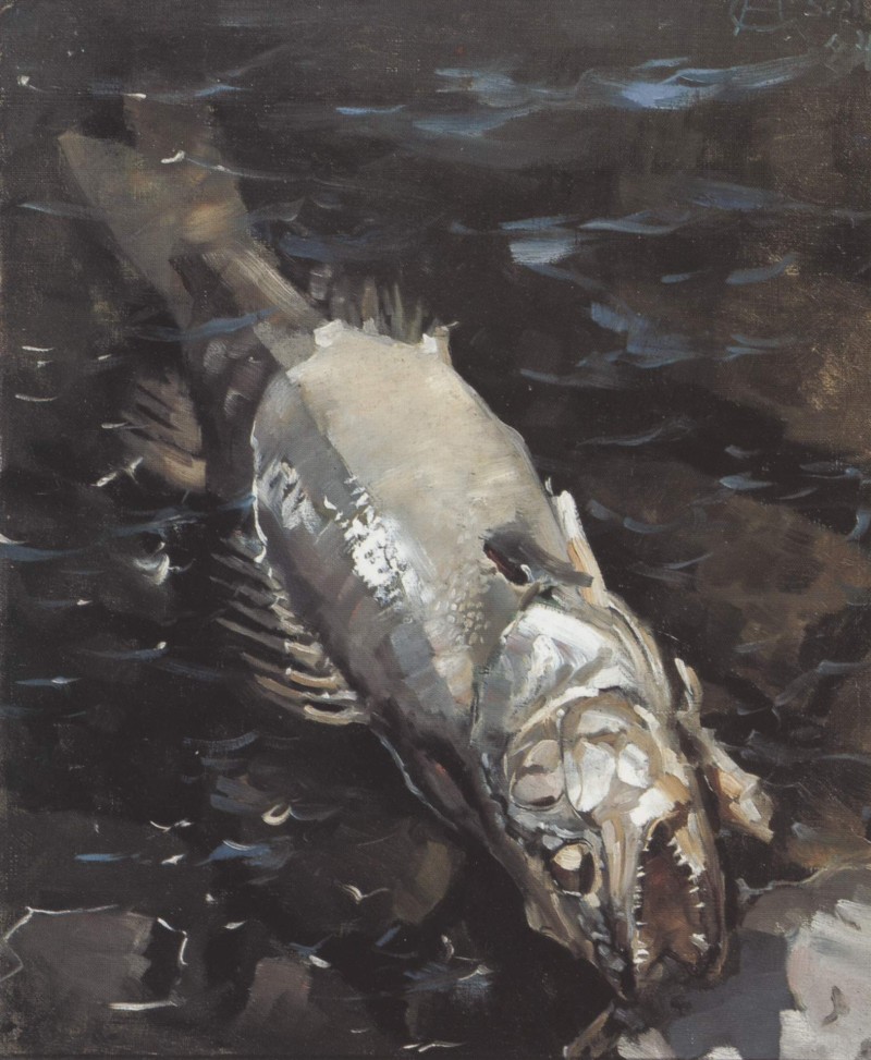 Verrottender Fisch
